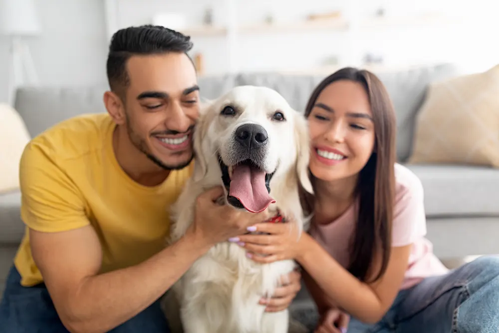 Aceptamos mascotas en C&C apartments